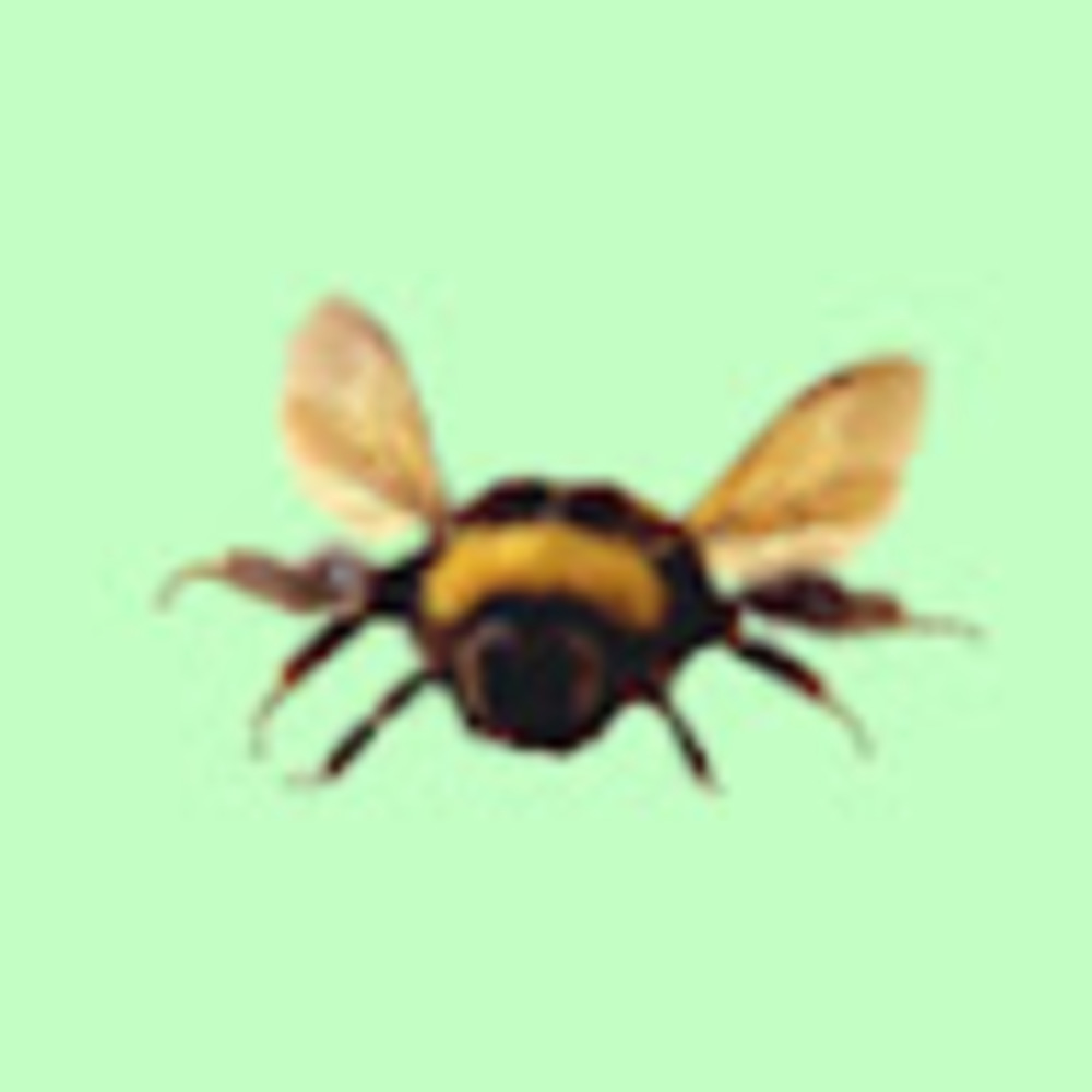 Meet your Posher, Bethany